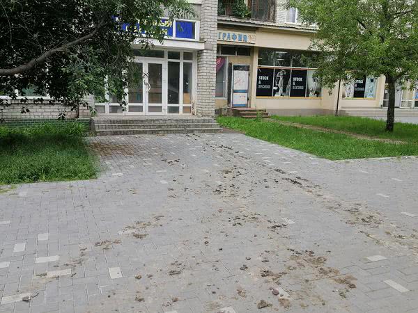 В микрорайоне Николаева грузовые автомобили ездят по клумбе и тротуарной плитке к магазину — фото
