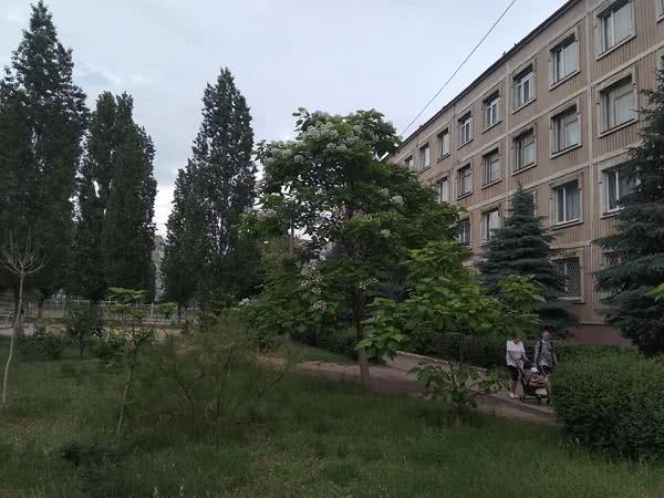 Намыв превращается в самый зелёный микрорайон Николаева