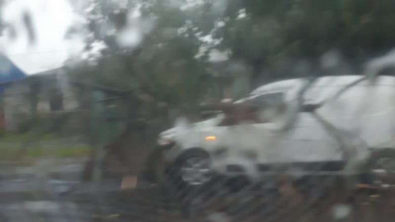 В Николаеве на Никольской ветки дерева упали на автомобиль и повредили кузов
