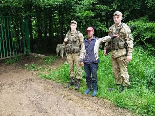 Случай на границе: стадо румынских овец и баранов во главе с пастухом вторглись в Украину