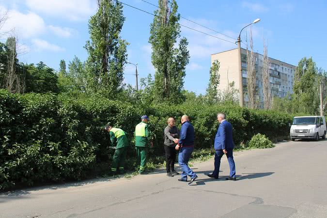 В Николаеве мэр города лично проверил обрезку кустов, которые ограничивают видимость на дороге