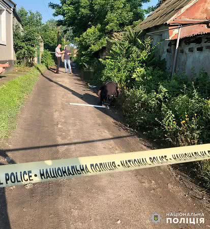 На Миколаївщині підозрюваного у вбивстві жителя Вознесенська взято під варту