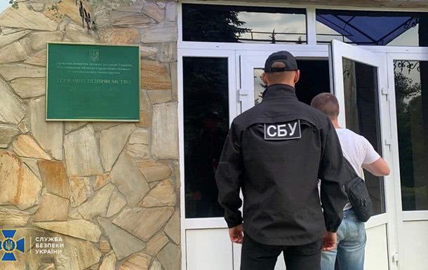 СБУ обнаружила масштабную вырубку лесов