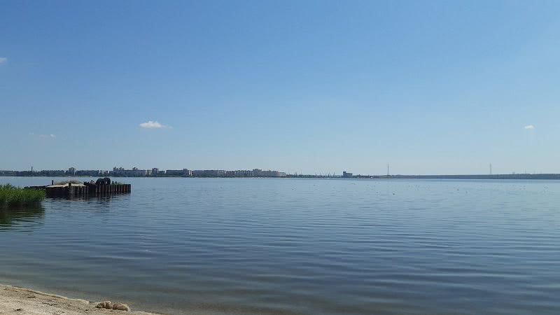 Сотни чаек купаются в водах лимана у берега микрорайона Николаева