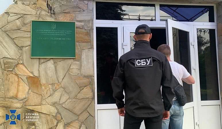 На заході та півночі України задокументовано масштабну вирубку лісів