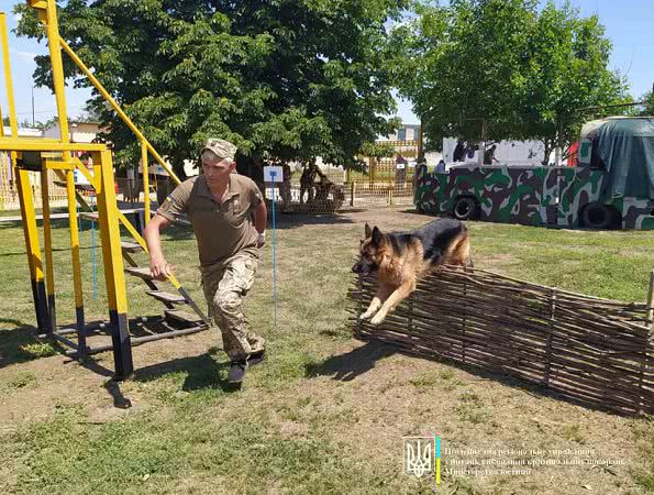 На Николаевщине соревновались кинологи