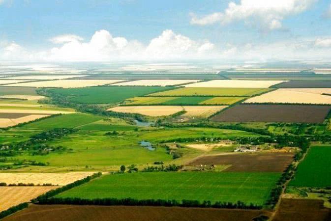 На Миколаївщині з початку року учасникам бойових дій передано у власність 308 земельних ділянок