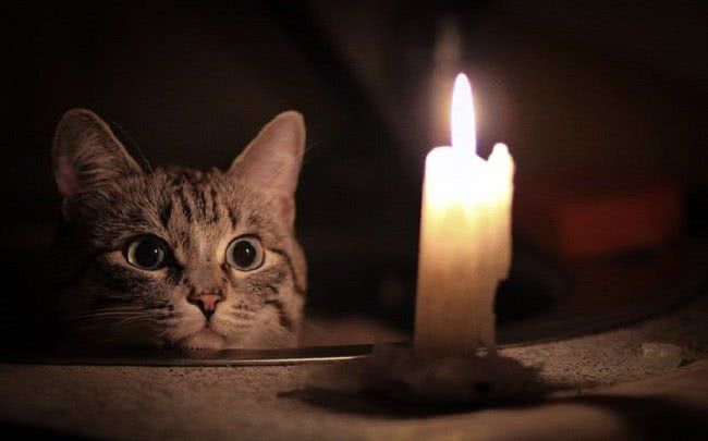 29 июля в Николаеве несколько улиц останутся без света, который отключат на целый день (адреса)