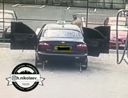 В Николаеве таксист с мойки автообслуживания украл чистящее средство — видео