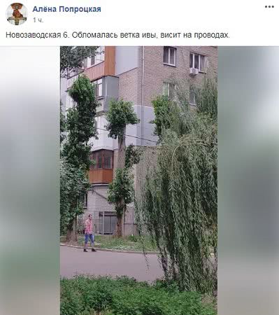 В Николаеве из-за непогоды во дворе многоэтажек ветка дерева повисла на электропроводе