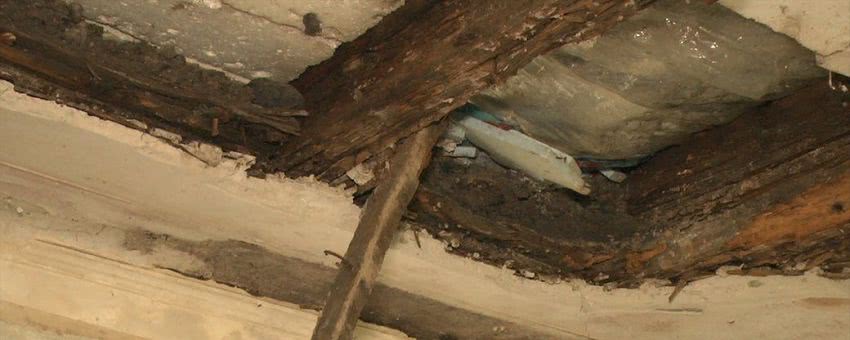 В квартире жителя Николаева обвалился потолок