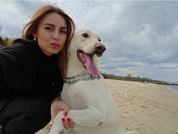 В Одессе собака покусала девушку, которая за ней ухаживала: животное усыпили
