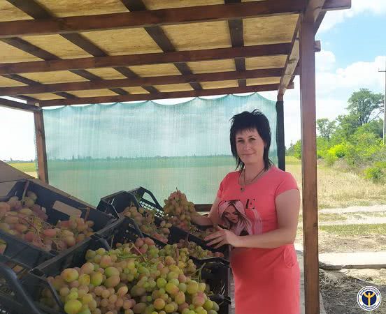 На Николаевщине в аграрном секторе создали рабочие места со стажировкой