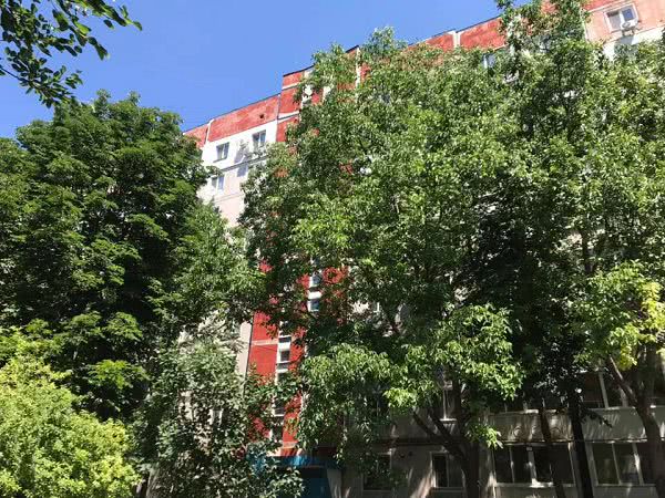 Возле многоэтажки в Николаеве ветки деревьев лежат на проводах и мешают парковке автомобилей