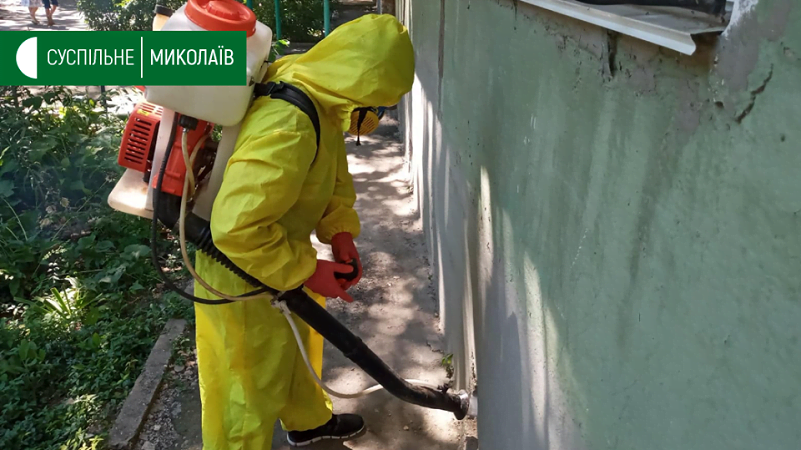 В Николаеве проводят дезинсекцию подвалов