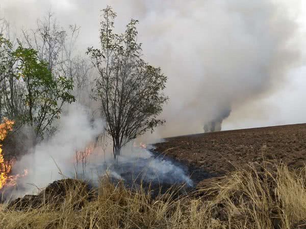 На Миколаївщині вигоріло понад 21 га сухостою, чагарників, очерету та стерні