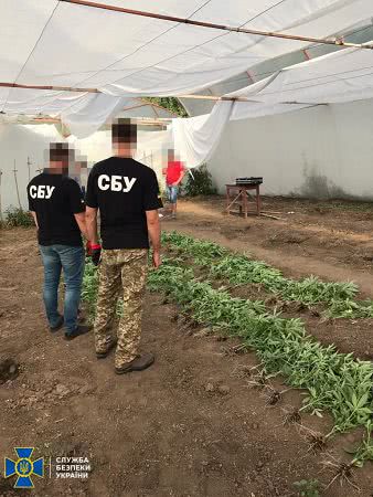 СБУ блокировала работу нарколаборатории в районе ООС