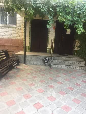 Уютный подъезд дома показали жители города на Николаевщине: цветы, картины на стенах, ковёр — фото