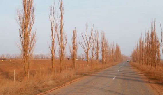 Суд арестовал имущество Николаевского глиноземного завода за ущерб экологии