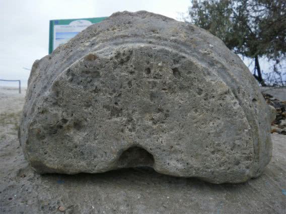 Море у Кинбурна вернуло уникальную колонну, которой более двух тысяч лет