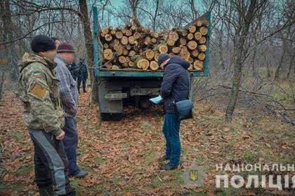 В лесах под Баштанкой выловили банду «черных дровосеков»