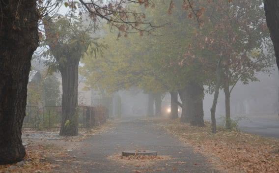 В Николаеве ближе к выходным +16 и две снежинки в середине ноября