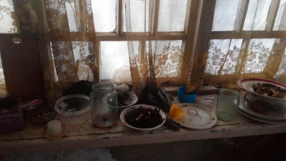 Пьяные родители на Николаевщине на новогодние праздники лишились троих детей