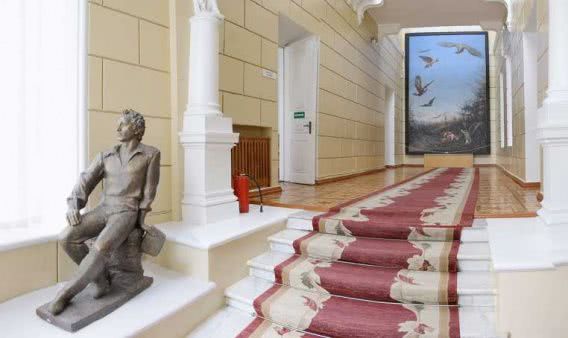 Миколаївський обласний художнiй музей iменi Верещагiна оголосив конкурс