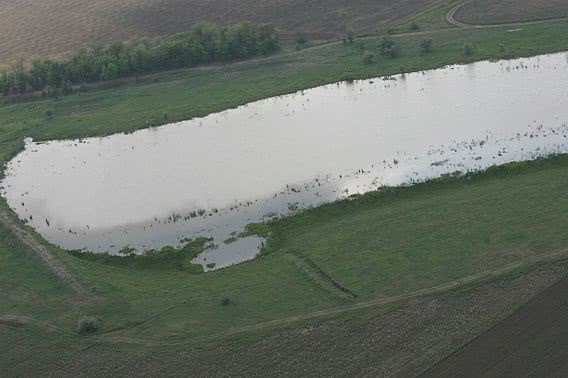 Прокуратура таки отобрала у арендатора пруд под Первомайском