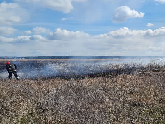 Неизвестные вчера жгли Кинбурнскую косу