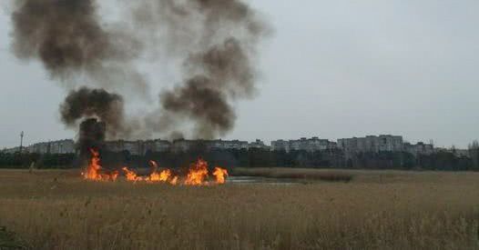 На озере в Лесках специально поджигают камыш