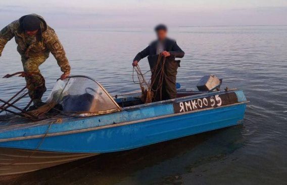 На Николаевщине из браконьерских сетей пограничники вытягивали краснокнижную осетрину