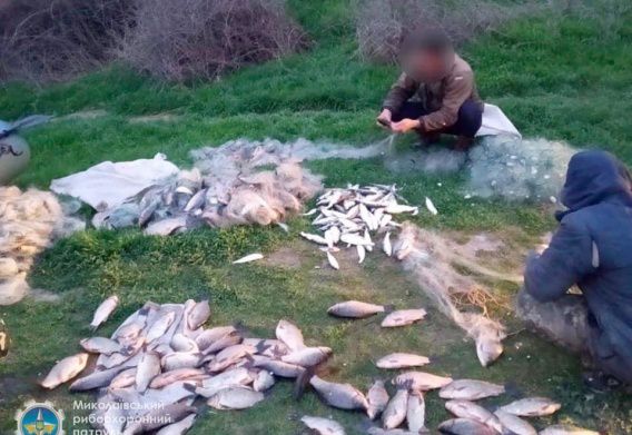 Под Очаковом поймали браконьера, ловившего сетями карасей, сельдь и пузанков