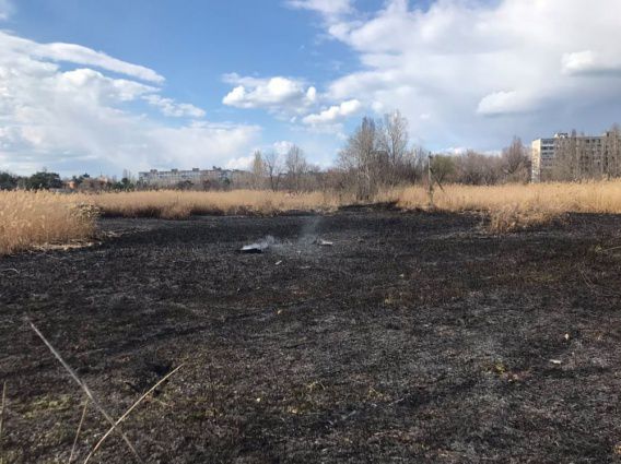 Неизвестные подожгли территорию парка Лески в Николаеве