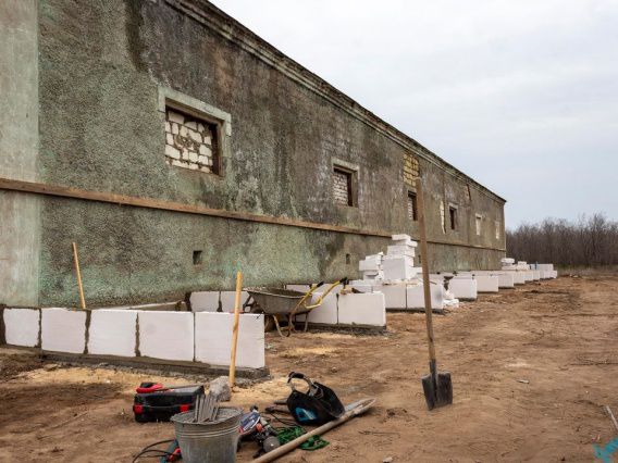 Под Вознесенском строят собачий приют