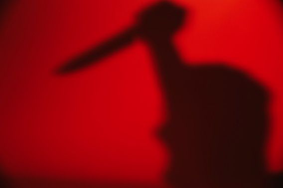 Николаевец, приговоренный к пожизненному заключению за убийства и нападения на женщин, просил суд смягчить наказание