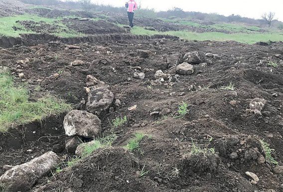 На окраине Николаева перекопали исторический памятник - греческое античное поселение