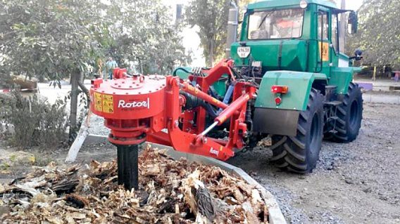 В городе Николаеве за год хотят выкорчевать 2800 пней