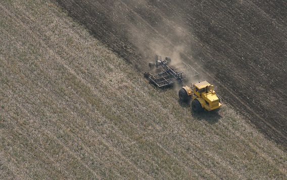 20 гектаров кривоозерской земли вернули государству