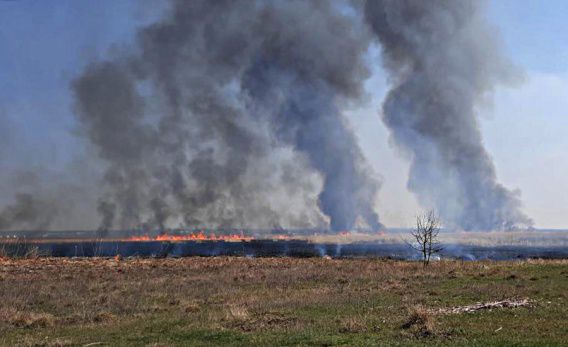 Ветер несет огонь по камышам вдоль Южного Буга