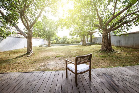 Херсонские ученые устанавливают возраст самых старых дубов в Николаевской области