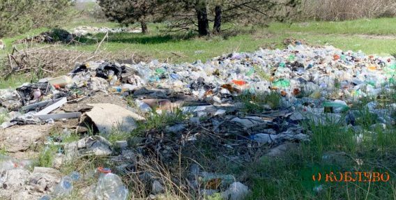 Сосновый лес в Коблево утопает в мусоре