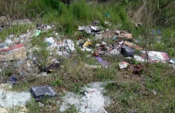 Хозяина мусора просят убрать хлам из балки, иначе власти соберут его и привезут под двери