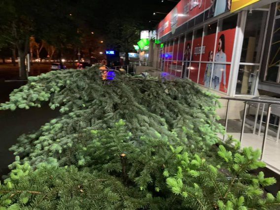 Перепилили елки, чтобы было видно вывеску: в Николаеве готовится к открытию новый пивной магазин