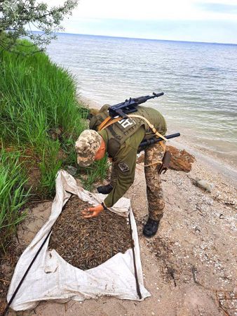 На лимане под Очаковом пограничники и рыбные патрули поймали браконьера с креветками