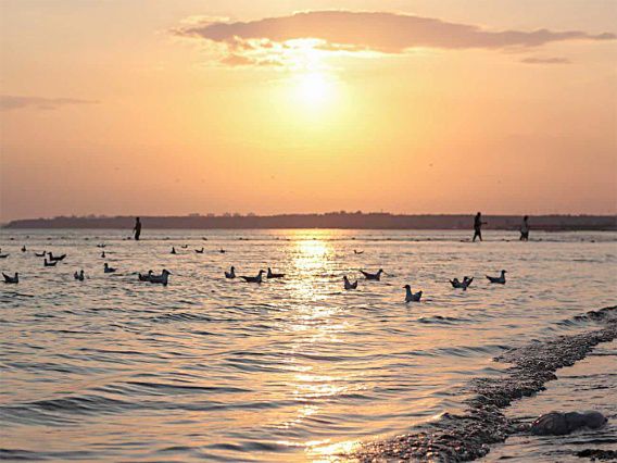 Территориальных споров между Николаевской и Одесской областями нет: есть нерешенные вопросы у отдельных громад