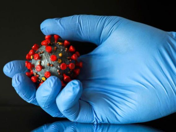 Японские медики заговорили о ковидном штамме «Олимпийский»