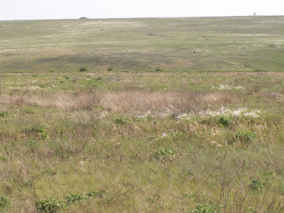 7 мая в Николаевской области опасаются степных пожаров