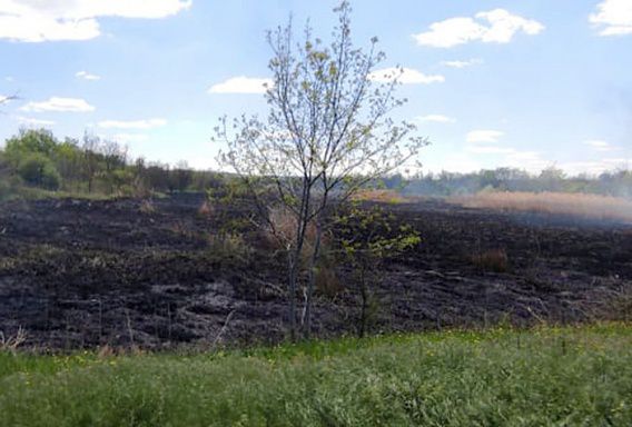 10 мая из-за поджогов на Николаевщине опять горели плавни
