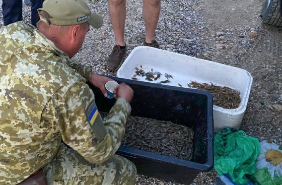 В Рыбаковке пограничники поймали браконьеров с уловом камбалы и креветки